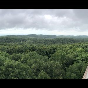 Meet your Posher, Jayme